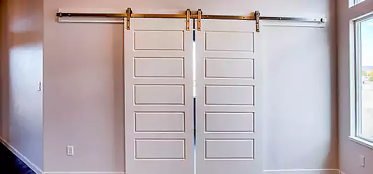 Glass Barn Door with Installation Hardware Kit Lincoln